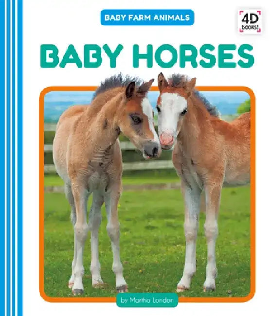 Baby Horses by Martha London