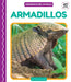Armadillos by Martha London