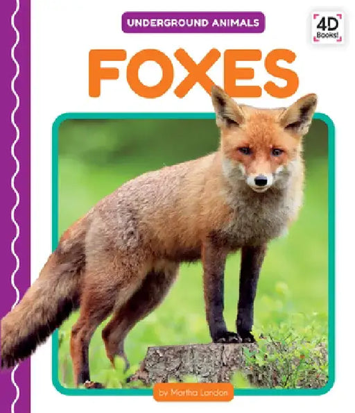 Foxes by Martha London