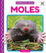 Moles by Martha London