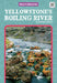 Yellowstone's Boiling River by Patricia Hutchison