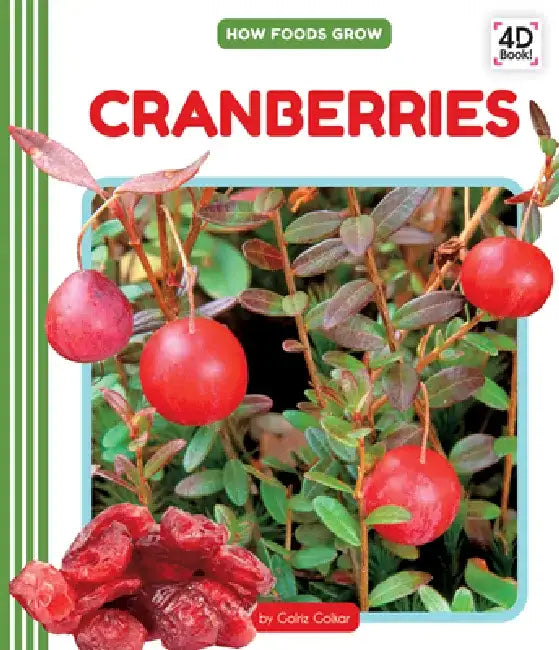 Cranberries by Golriz Golkar