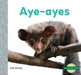 Aye-Ayes (Aye-Ayes) by Julie Murray
