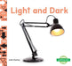 Light and Dark by Julie Murray