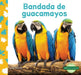 Bandada de Guacamayos (Macaw Flock) by Julie Murray