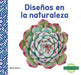 Disenos En La Naturaleza (Patterns in Nature) by Bela Davis