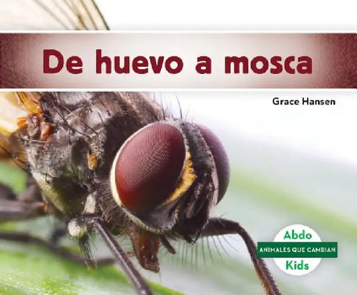 de Huevo a Mosca (Becoming a Fly) by Grace Hansen