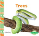 Trees by Julie Murray