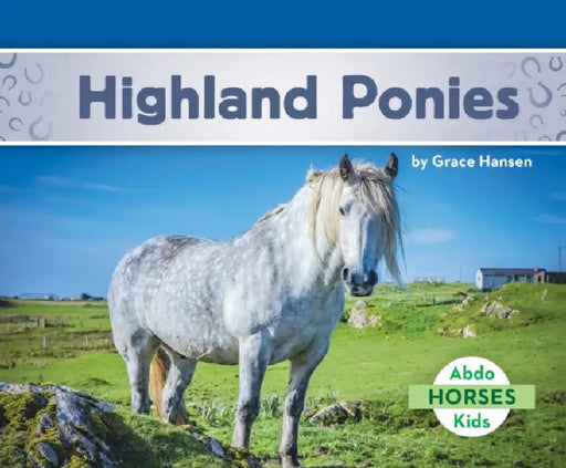 Highland Ponies by Grace Hansen