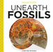 Unearth Fossils by Christine Petersen