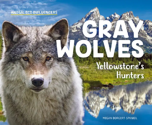 Gray Wolves: Yellowstone's Hunters: Yellowstone's Hunters by Megan Borgert-Spaniol