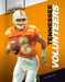 Tennessee Volunteers by Todd Ryan
