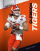 Clemson Tigers by Robert Cooper