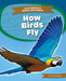 How Birds Fly by Emma Huddleston
