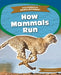 How Mammals Run by Emma Huddleston