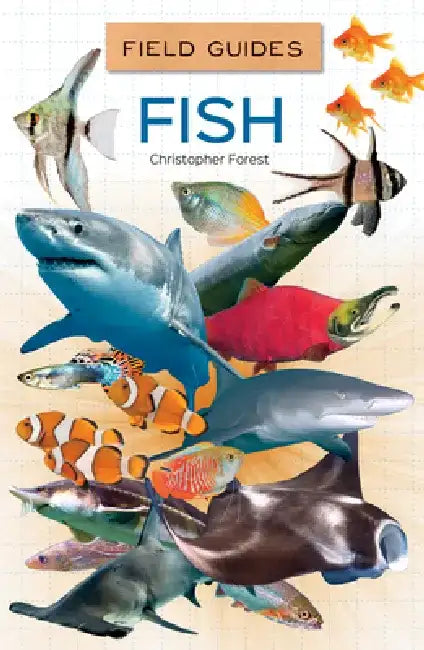 Fish by Christopher Forest