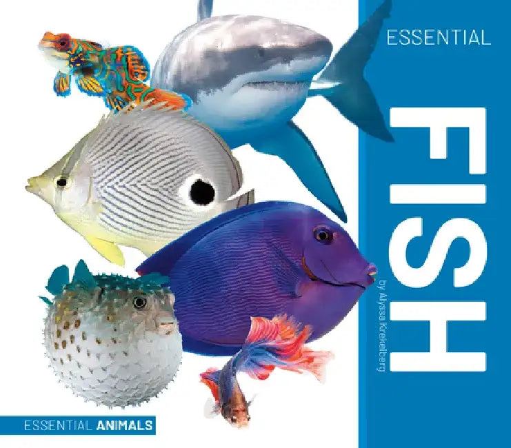Essential Fish by Alyssa Krekelberg