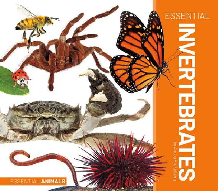Essential Invertebrates by Alyssa Krekelberg