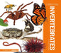 Essential Invertebrates by Alyssa Krekelberg