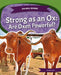 Strong as an Ox: Are Oxen Powerful?: Strong as an Ox: Are Oxen Powerful? by Matt Lilley