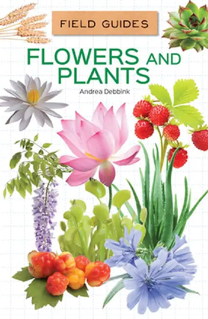 Flowers and Plants by Andrea Debbink