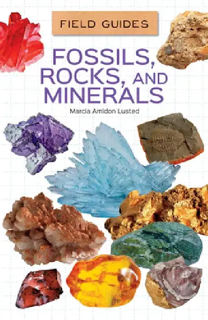 Fossils, Rocks, and Minerals by Marcia Amidon Lusted