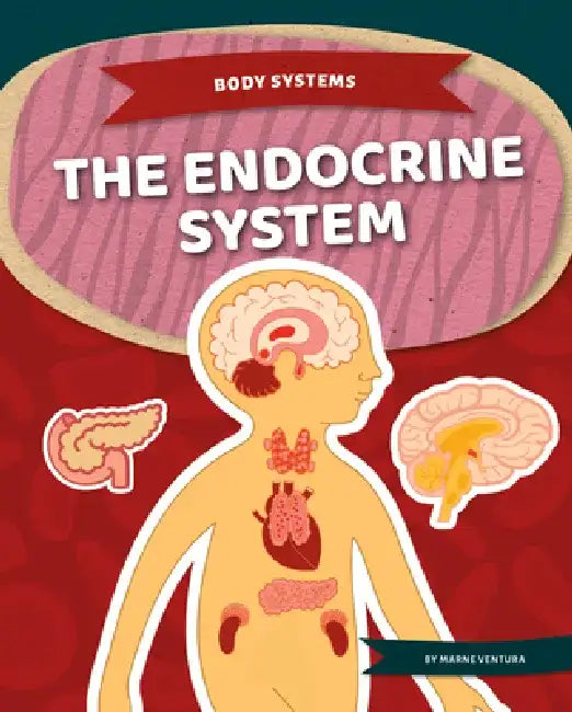 Endocrine System by Marne Ventura