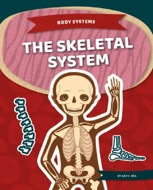 Skeletal System by Amy C. Rea