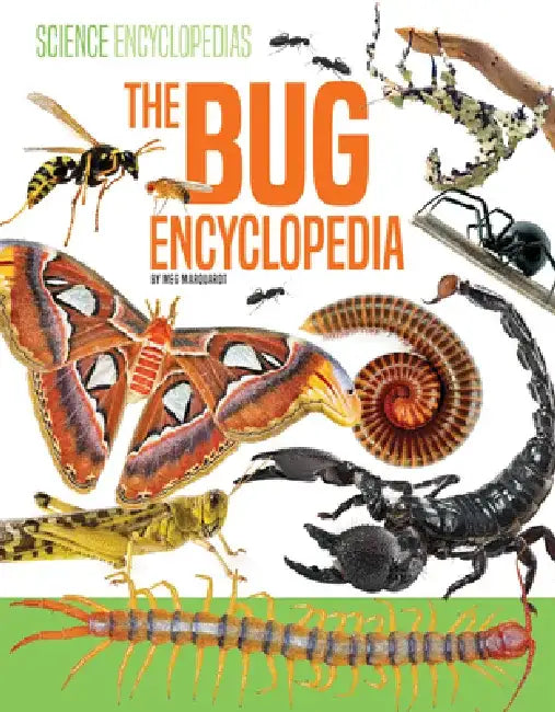 Bug Encyclopedia by Meg Marquardt