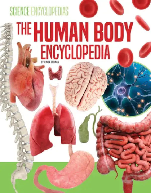 The Human Body Encyclopedia by Linda Cernak