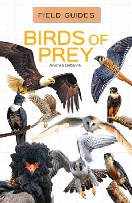 Birds of Prey by Andrea Debbink