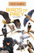 Birds of Prey by Andrea Debbink