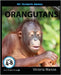 My Favorite Animal: Orangutans by Marcos, Victoria