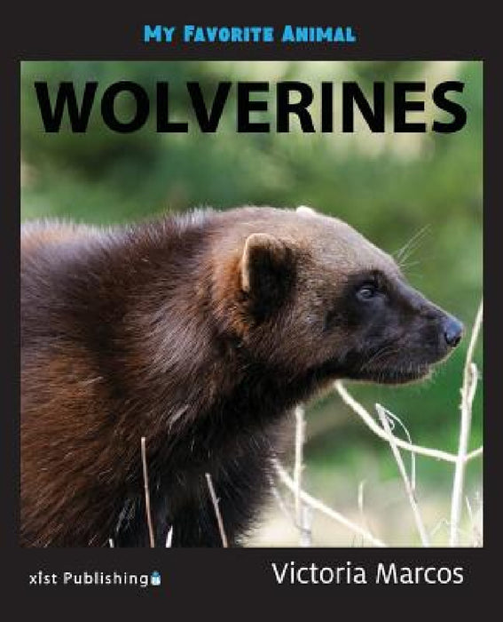 My Favorite Animal: Wolverines by Victoria Marcos