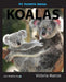 My Favorite Animal: Koalas by Victoria Marcos