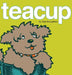 Teacup by Bae Broughton