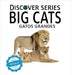 Big Cats / Gatos Grandes by Xist Publishing