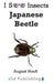 Japanese Beetle by August Hoeft