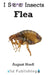 Flea by August Hoeft