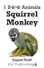 Squirrel Monkey by August Hoeft