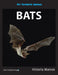 My Favorite Animal: Bats by Victoria Marcos