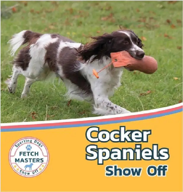 Cocker Spaniels Show Off by Lakes, Sabrina