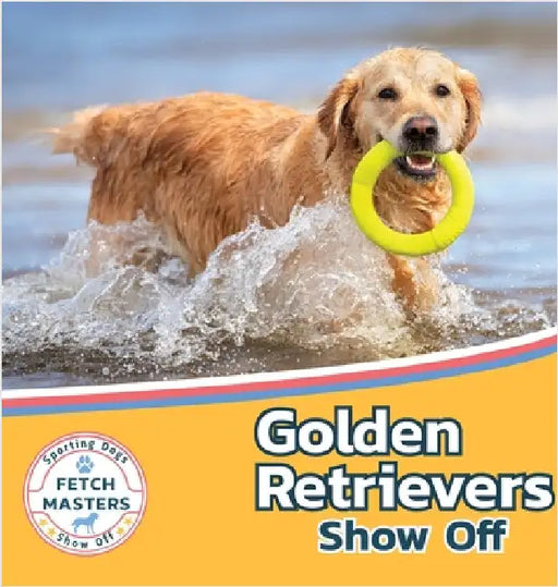 Golden Retrievers Show Off by Lakes, Sabrina