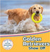 Golden Retrievers Show Off by Lakes, Sabrina