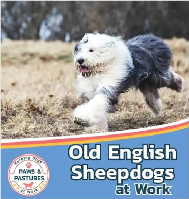Old English Sheepdogs at Work by Lakes, Sabrina