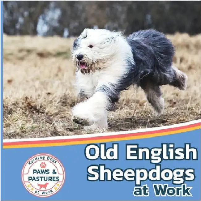 Old English Sheepdogs at Work by Lakes, Sabrina