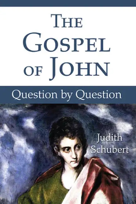 The Gospel of John by Judith Rsm Schubert