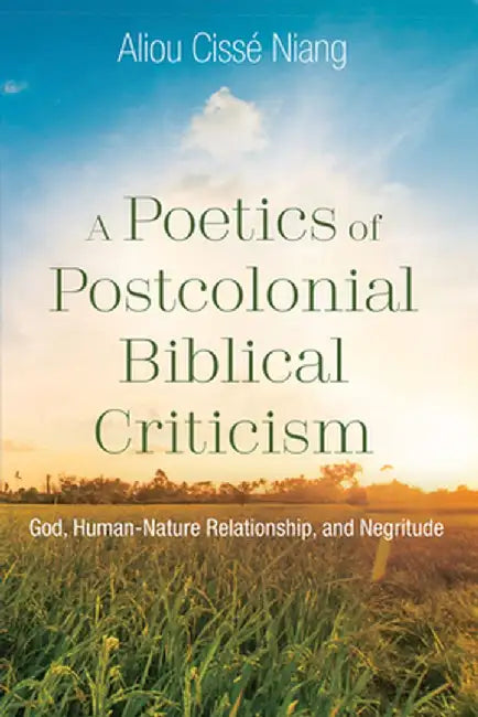 A Poetics of Postcolonial Biblical Criticism by Aliou Cisse Niang