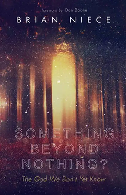 Something Beyond Nothing? by Brian Niece