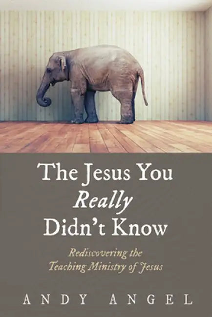 The Jesus You Really Didn't Know by Andy Angel